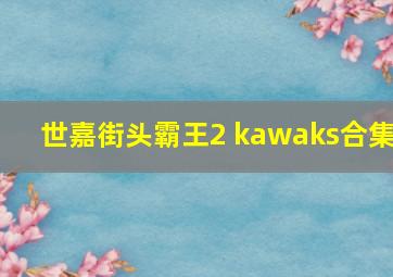 世嘉街头霸王2 kawaks合集